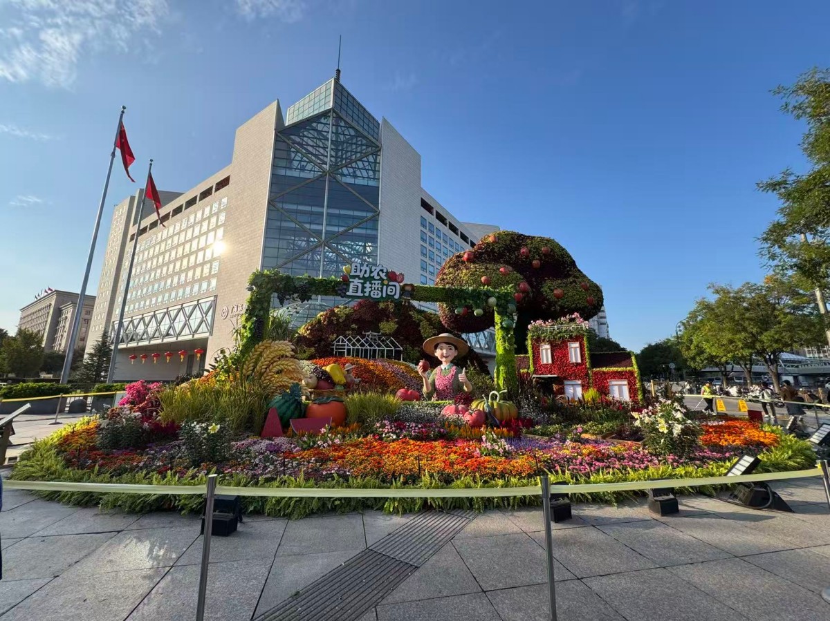 二等奖：欢度国庆-东方中科-冯晓云