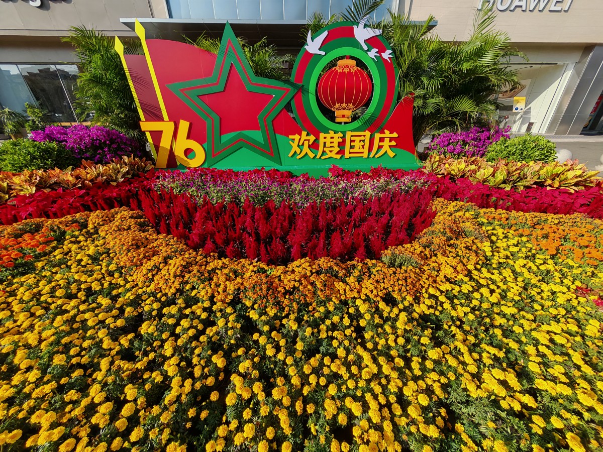 二等奖：欢度国庆-泽华公司-王晖