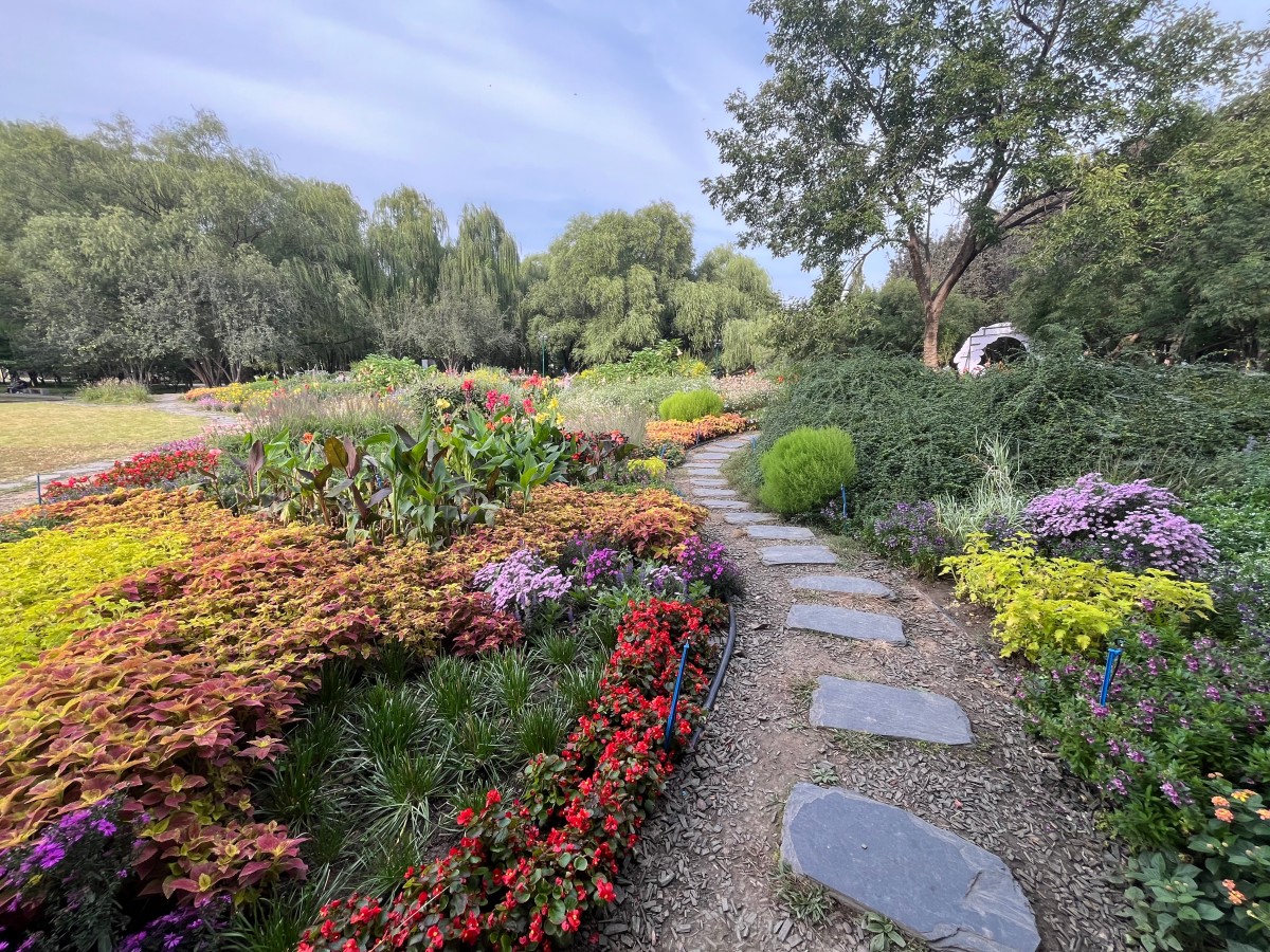 二等奖：风过海淀，秋染公园：藏在都市里的斑斓画卷-第一视频集团-王文杰