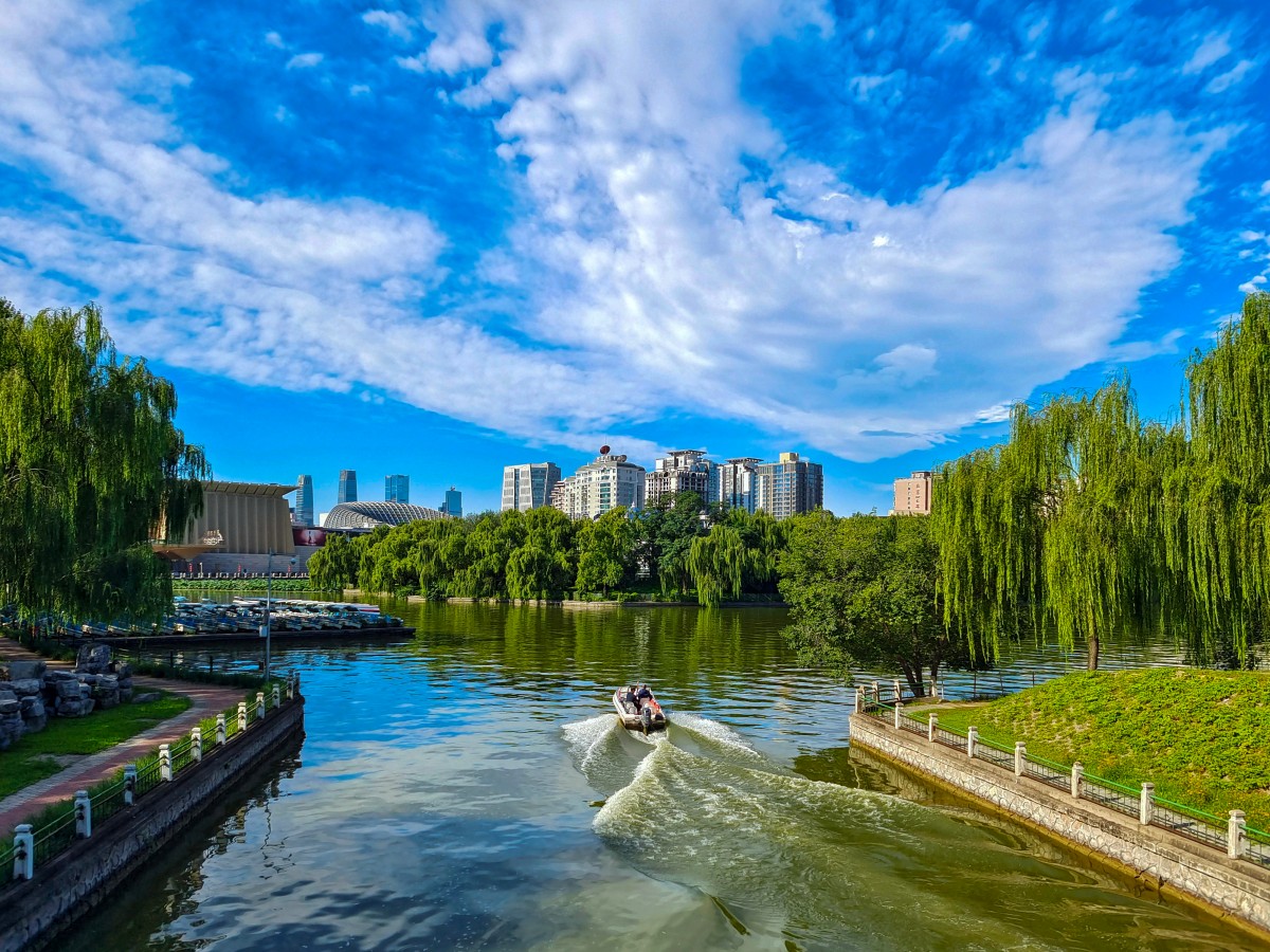 特等奖：冲向天际-瑞萨-吴璟琼