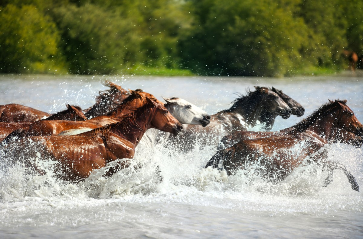 特等奖：奔腾-滨松-王冰
